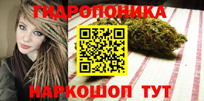 бошки Гатчина