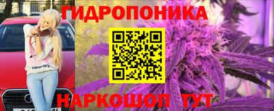 метадон Гусев
