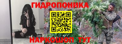 гидра Гагарин