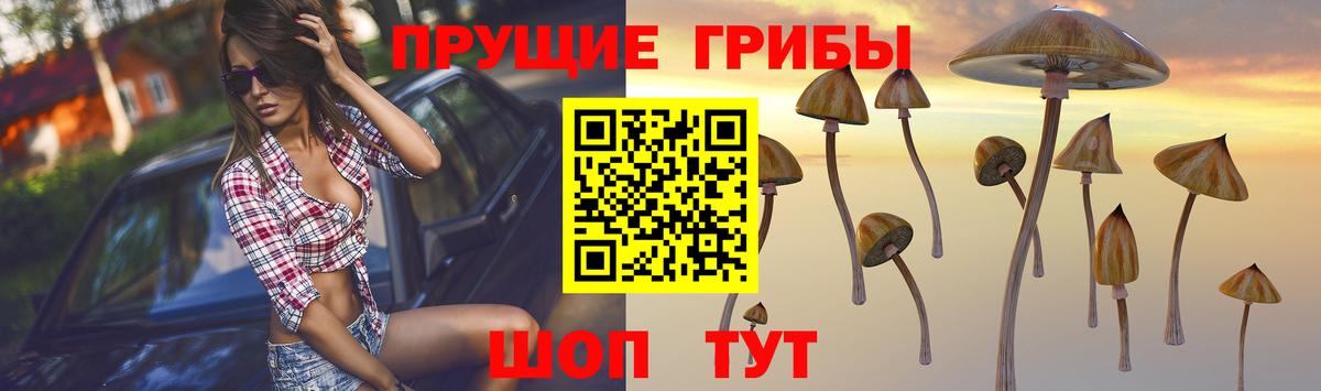 Галлюциногенные грибы MAGIC MUSHROOMS Прокопьевск